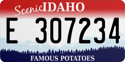 ID license plate E307234