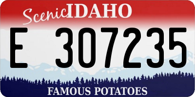 ID license plate E307235