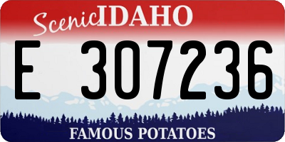 ID license plate E307236