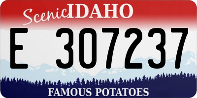 ID license plate E307237