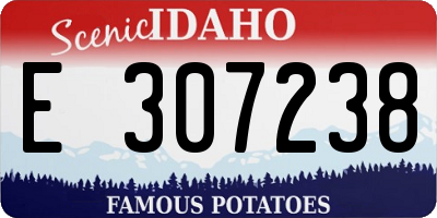 ID license plate E307238