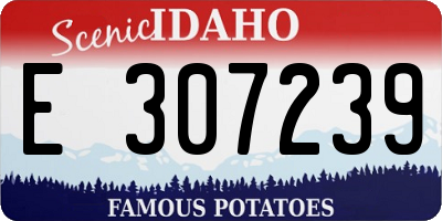 ID license plate E307239