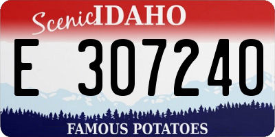 ID license plate E307240