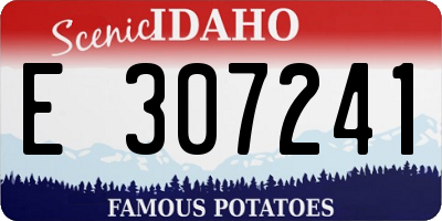 ID license plate E307241
