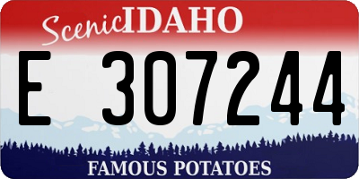 ID license plate E307244