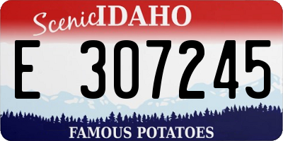 ID license plate E307245