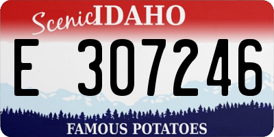 ID license plate E307246