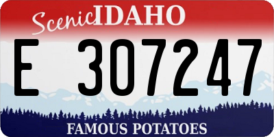 ID license plate E307247