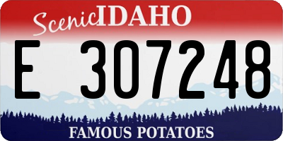 ID license plate E307248