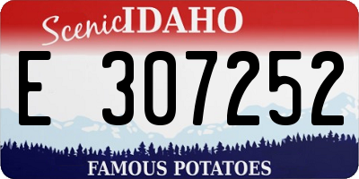 ID license plate E307252
