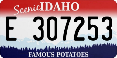 ID license plate E307253