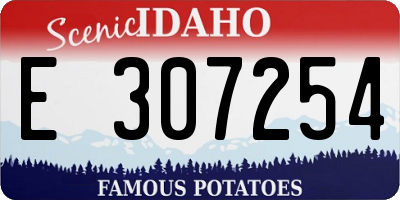 ID license plate E307254