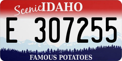 ID license plate E307255