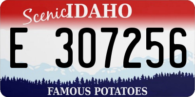 ID license plate E307256