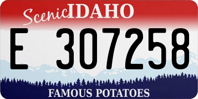 ID license plate E307258