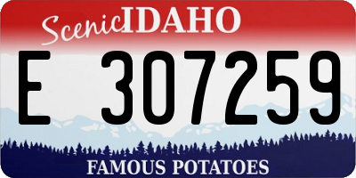 ID license plate E307259