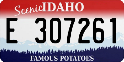 ID license plate E307261