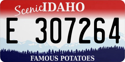 ID license plate E307264