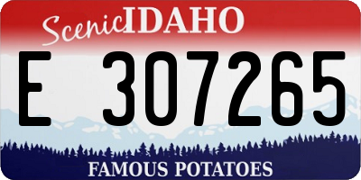 ID license plate E307265