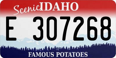 ID license plate E307268