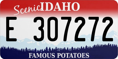 ID license plate E307272