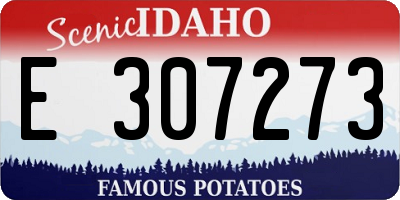 ID license plate E307273