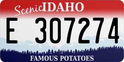 ID license plate E307274