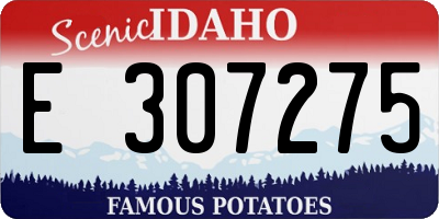 ID license plate E307275