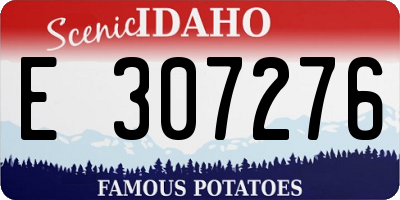 ID license plate E307276