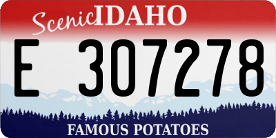ID license plate E307278