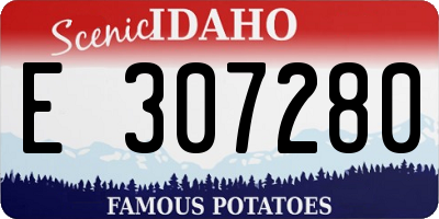 ID license plate E307280