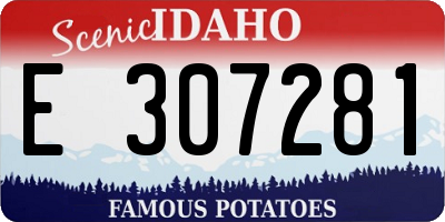 ID license plate E307281