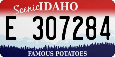 ID license plate E307284