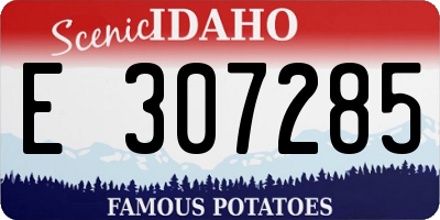 ID license plate E307285