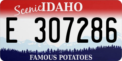 ID license plate E307286