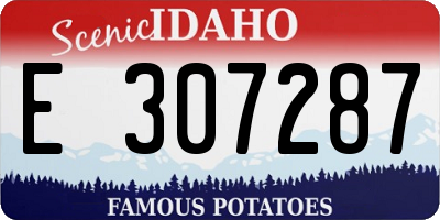ID license plate E307287