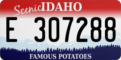 ID license plate E307288