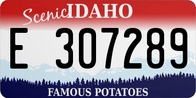 ID license plate E307289