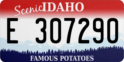 ID license plate E307290