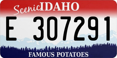 ID license plate E307291