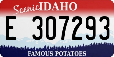 ID license plate E307293