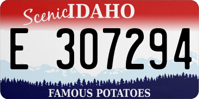 ID license plate E307294