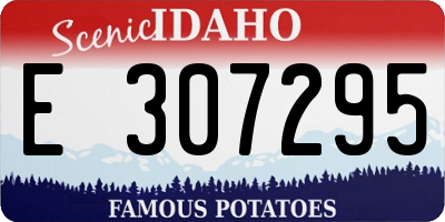 ID license plate E307295