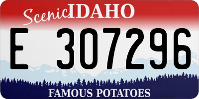 ID license plate E307296