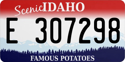 ID license plate E307298