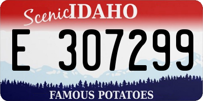 ID license plate E307299