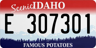ID license plate E307301