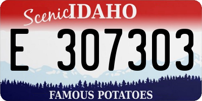 ID license plate E307303