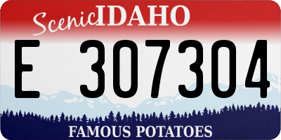 ID license plate E307304