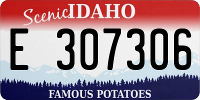 ID license plate E307306